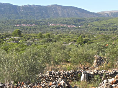 Stari Grad Plain, looking towards Vrbanj