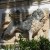 Lion of Venice