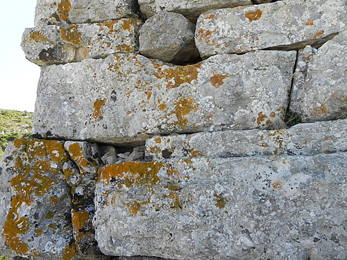 Old stones not moved in centuries