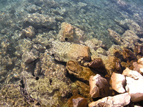 Clear water