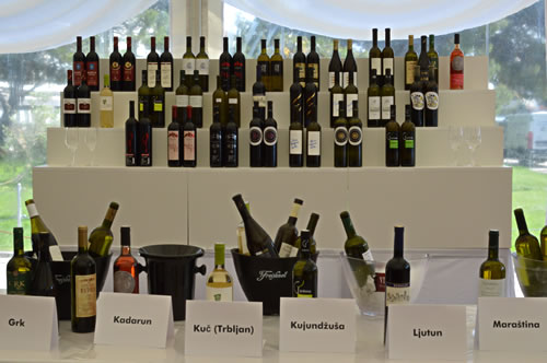 A wide variety of grapes are grown in Dalmatian