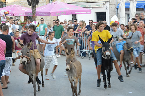 The leaders in the donkey race