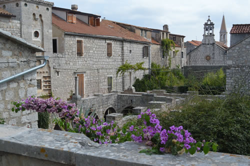 View over the fish pool