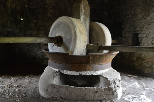 Olive press looks like a smiling face