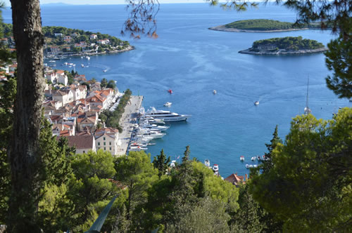 Hvar glimpsed through the pines