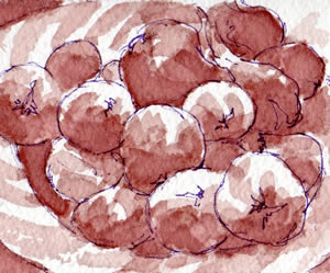 figs_plovac_ploski_2008