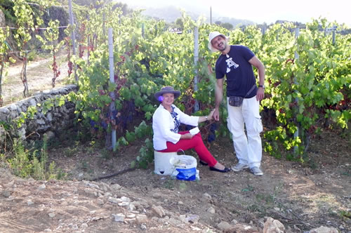 Painting in the vineyard