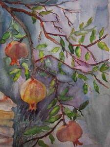 Sunlit Pomegranates by Mary Paquet