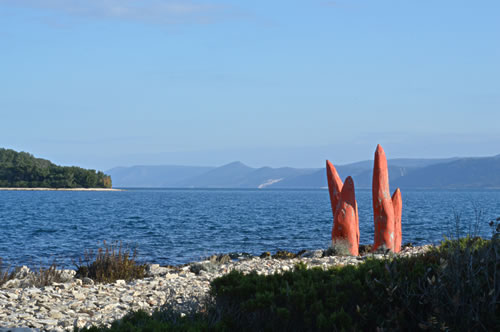 A large bunch of chilli peppers