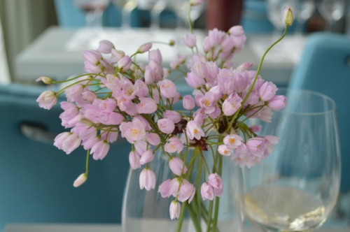 Wild garlic flowers are tasty!