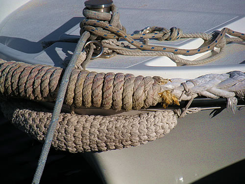 If boats could talk...