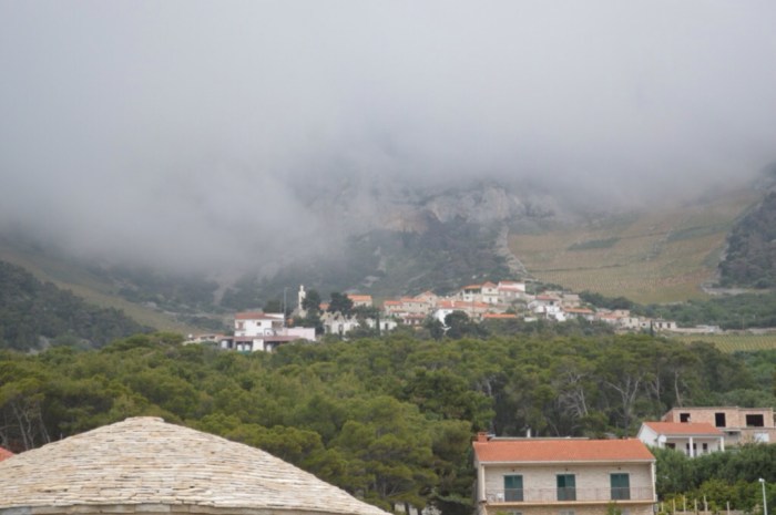 Vineyards above Sveta Nedljelja disappearing into the clouds