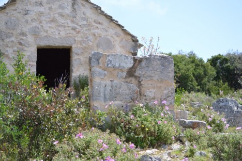 Field shelter with natural garden