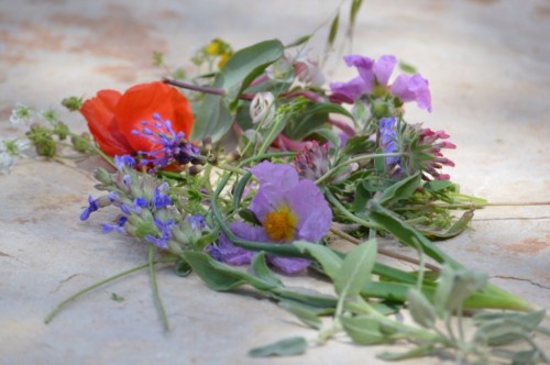 A beautiful table setting for our picnic, left by the previous occupants