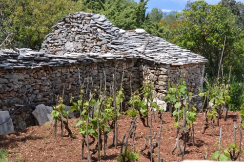 My chosen subject to sketch at lunch