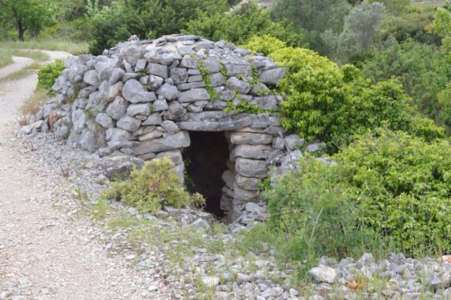 Tiny trim by the path