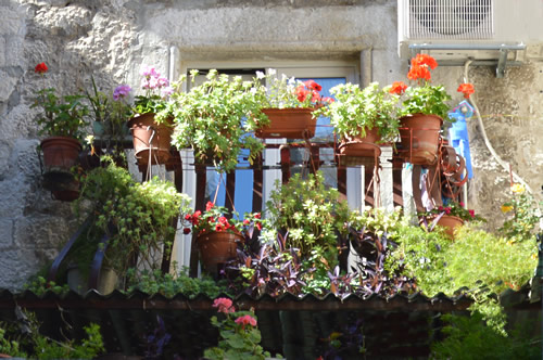 Balcony garden