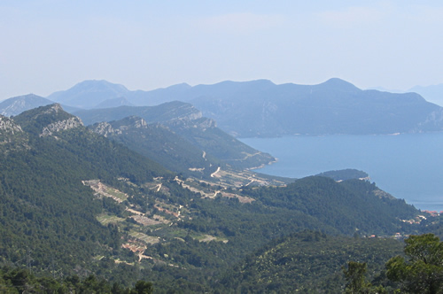 Pelješac coast and vineyards