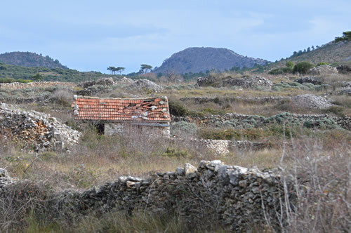 Old cottage in the fields