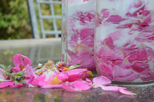 Layered petals and sugar