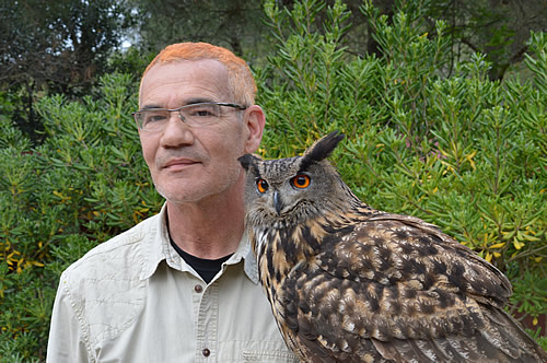 Raptor demonstration - eagle owl