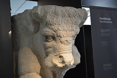 Bull's head in the museum