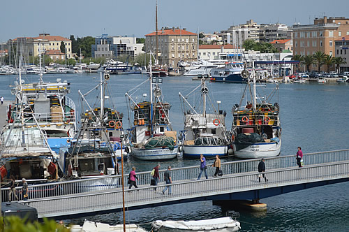 Fishing boats in the harbour