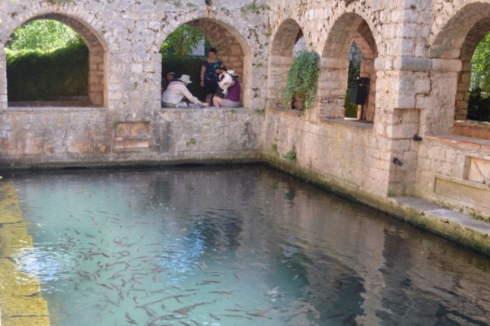 Artists by the fish pool