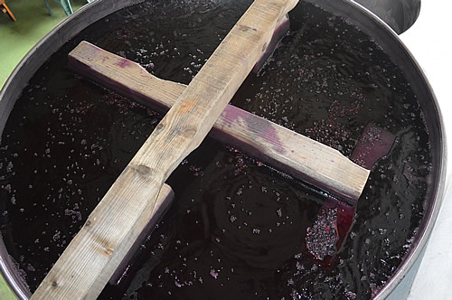Fermenting red grape juice