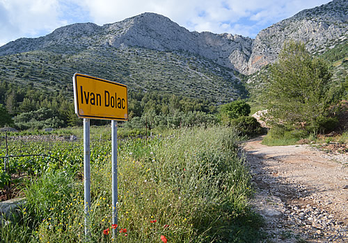 Vineyards of Ivan Dolac