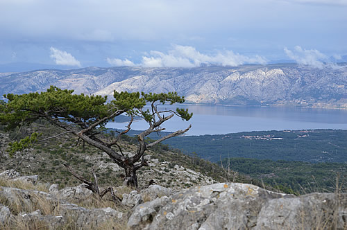 Looking towards Biokovo on the mainland