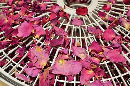 Dried petals