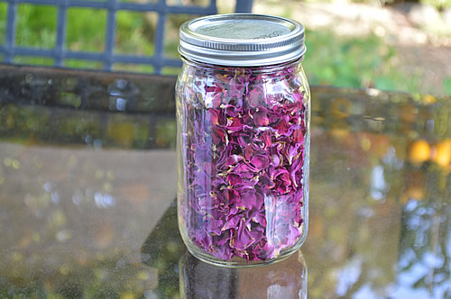 Jar of dried rose petals