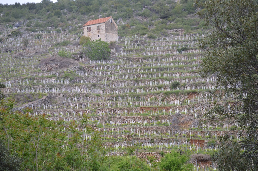 Steep steps of Krušvica