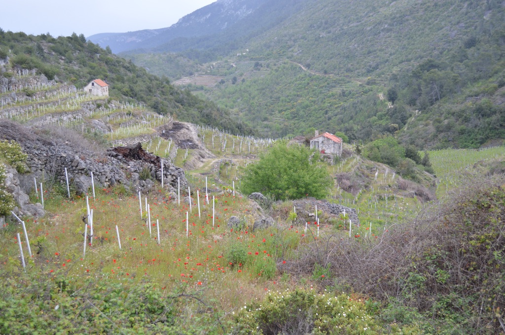 View down the valley