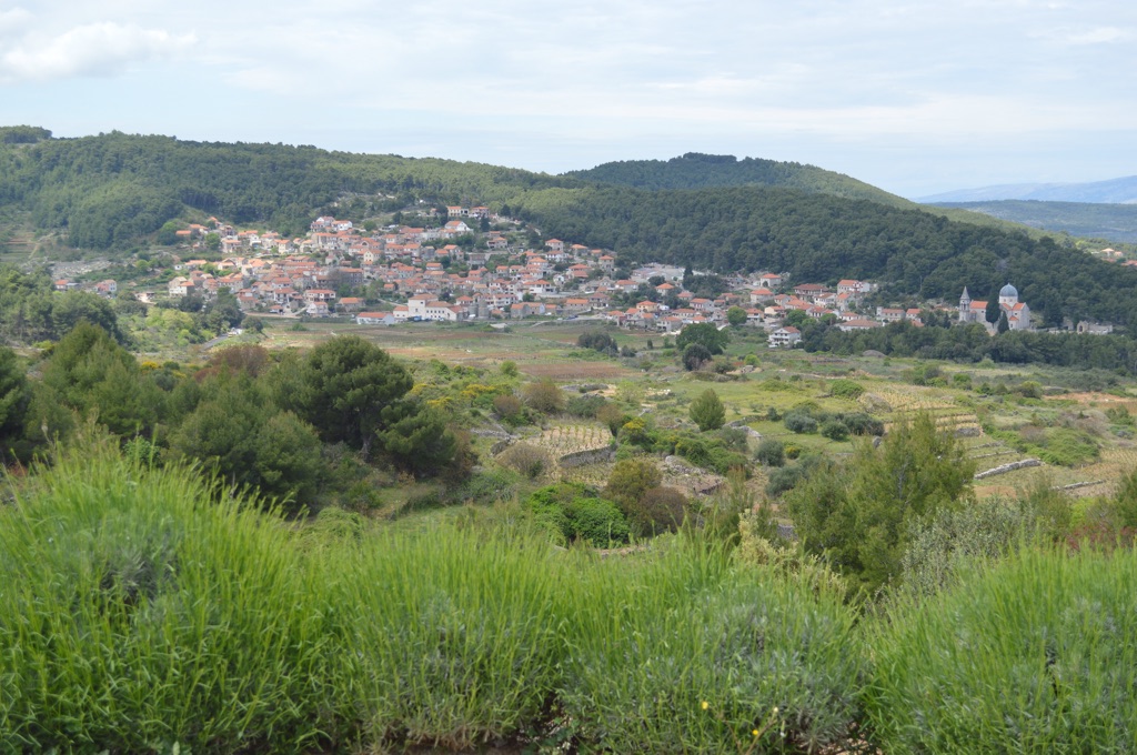 The village of Svirče