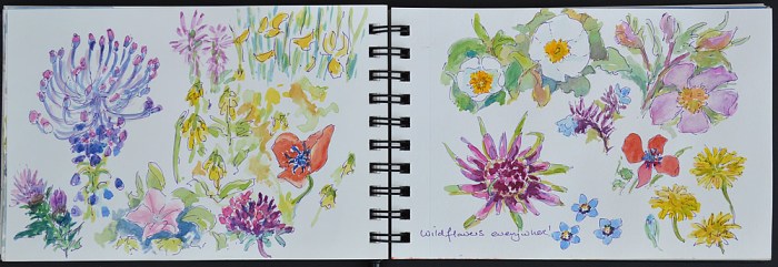 The sun colours flowers and art colours life!