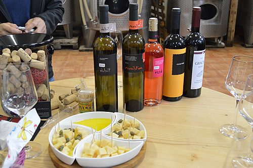 Wine and cheese tasting