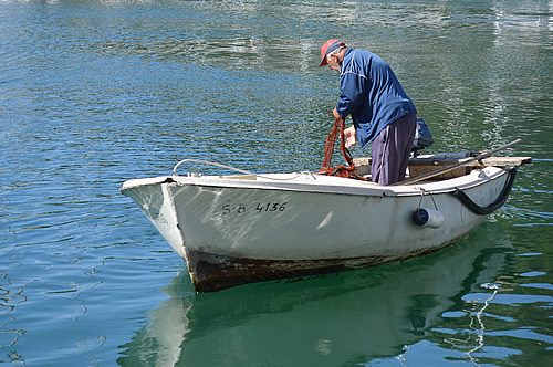 Skradin Fisherman
