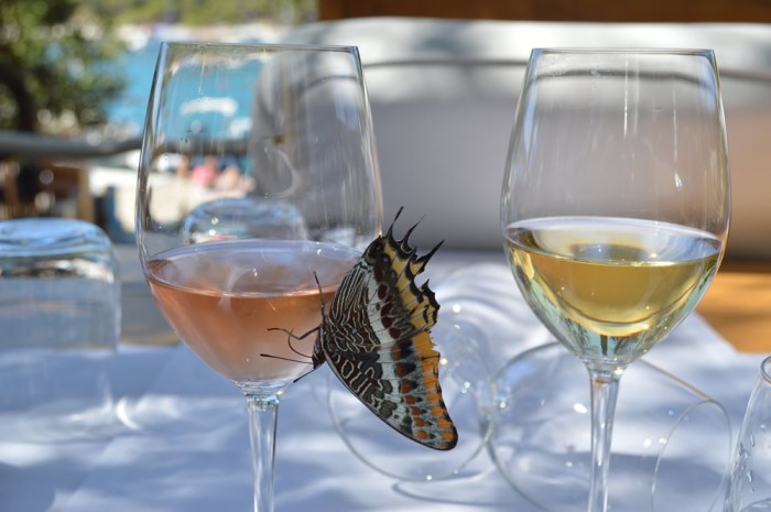 Butterfly on the wine glass