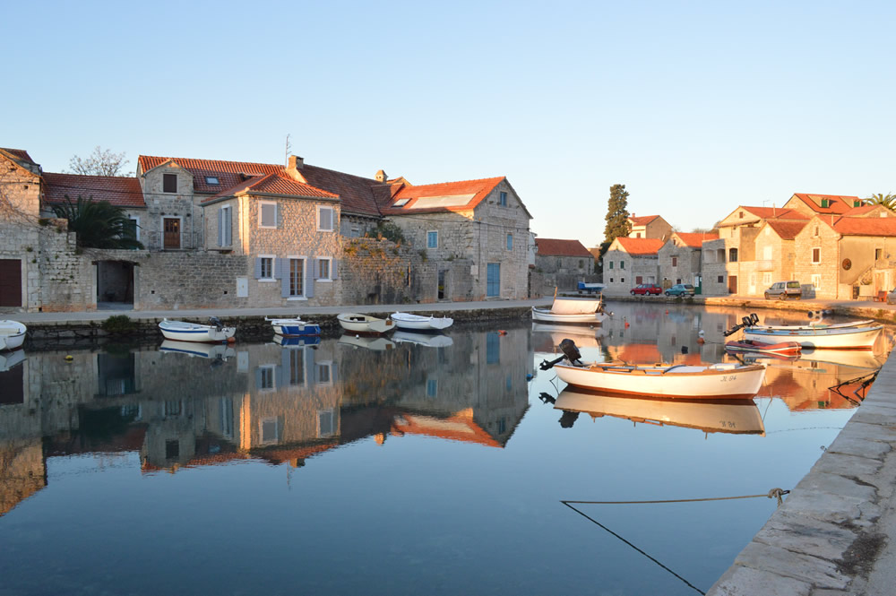 Upper harbour, morning light