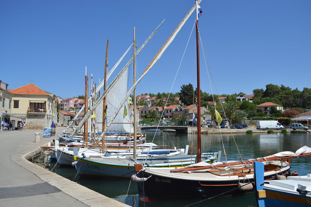 Traditional latin-rigged boats