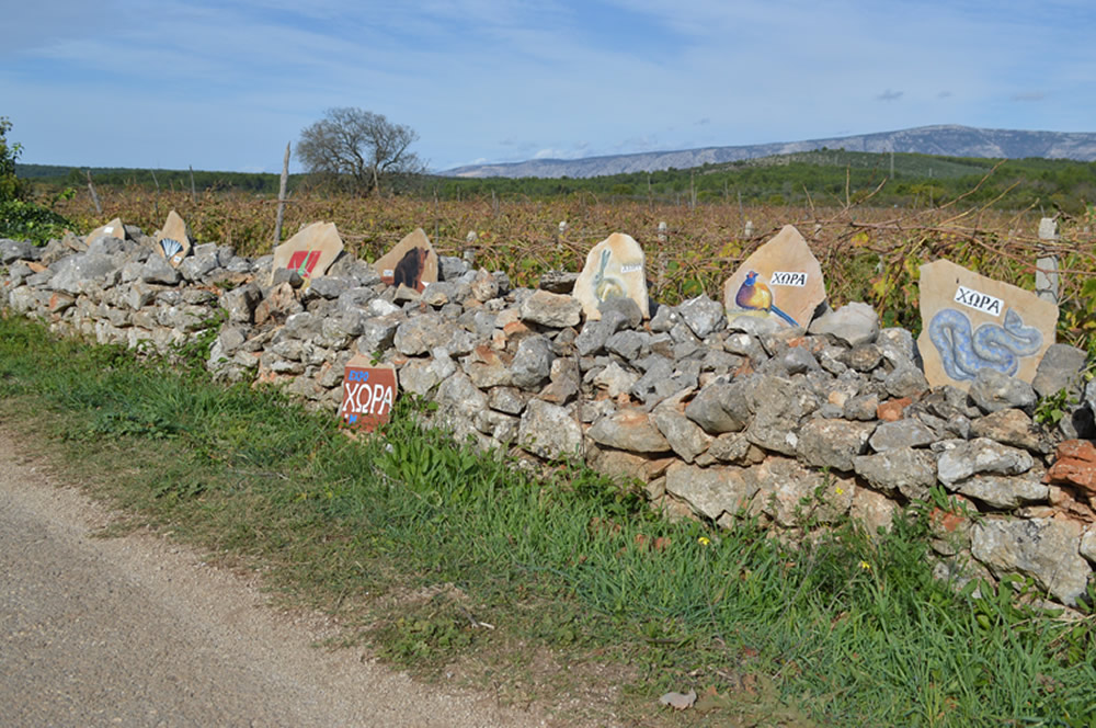 Art show by Marta Petrinjak