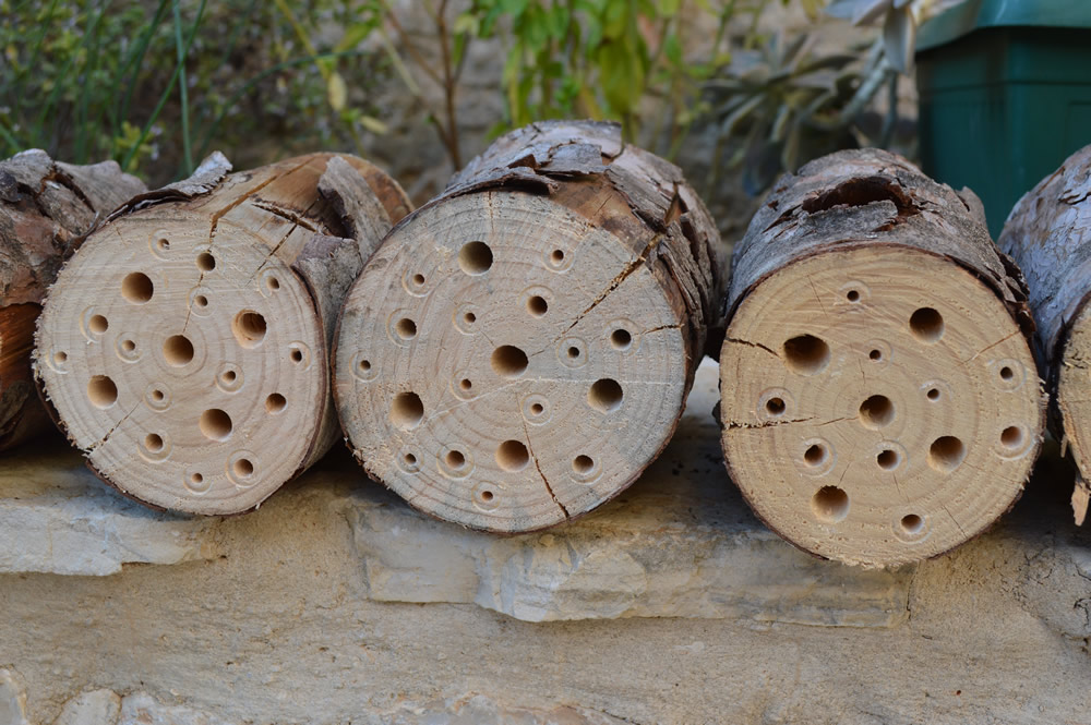 Different-sized holes drilled