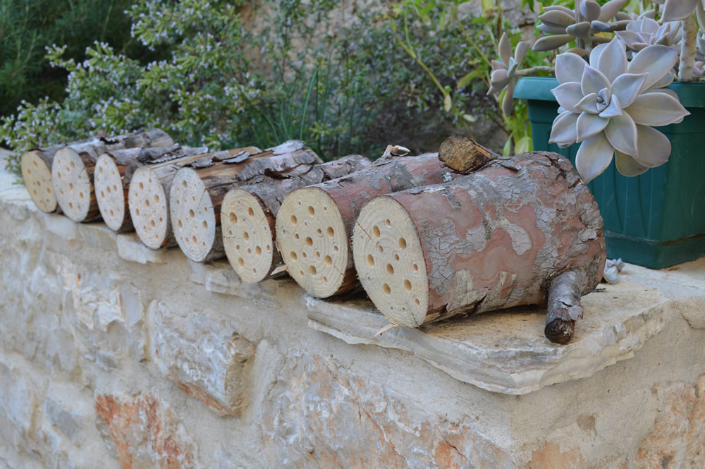 Bee hotel logs