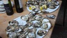 Plates of oysters