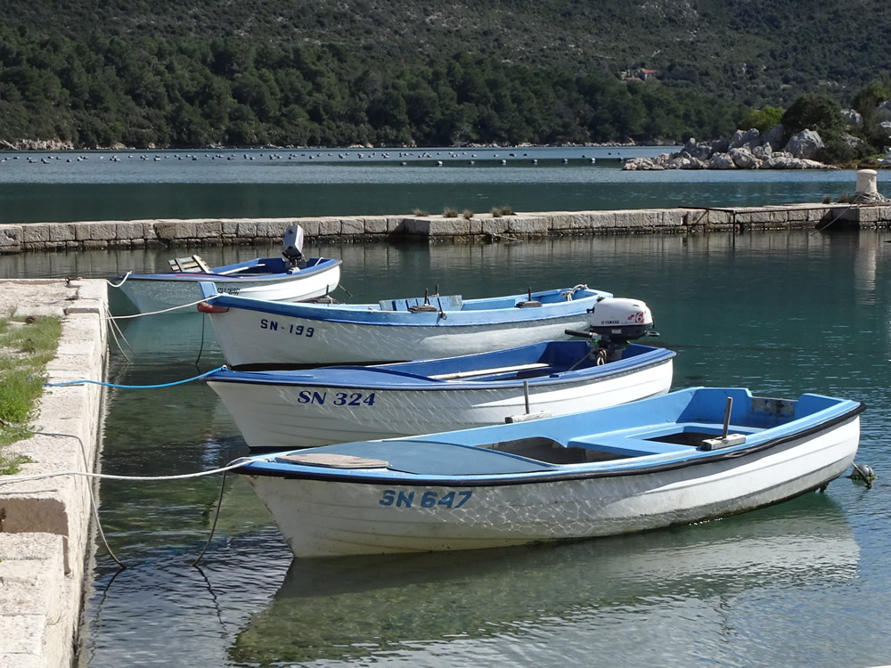 Blue boats in the sun