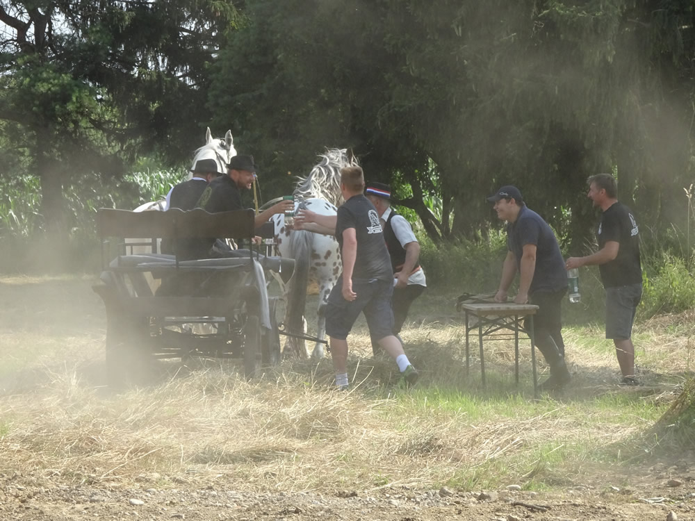 Drink a litre of gemist