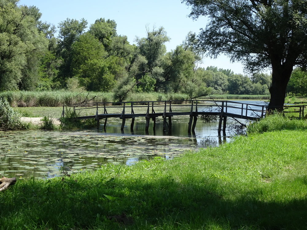 Footbridge to fishing docks