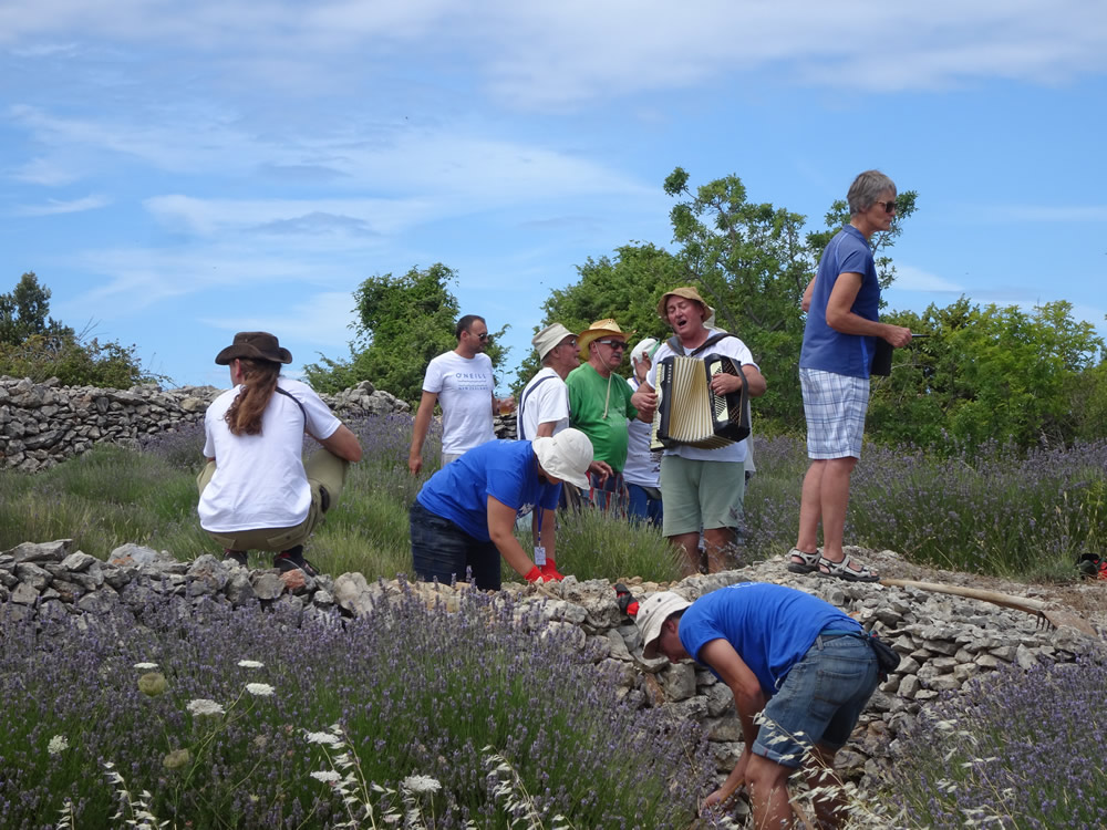 Harvest, sing and build!